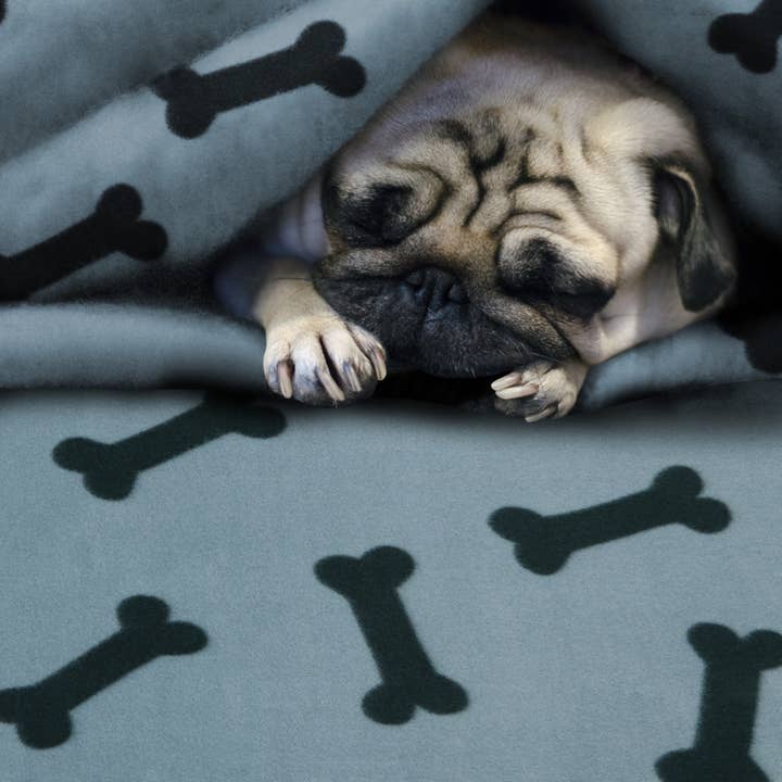 Nobleza - Vendita all'ingrosso Piumino - Cani e gatti - Nobleza - Coperta per animali domestici cani e gatti5