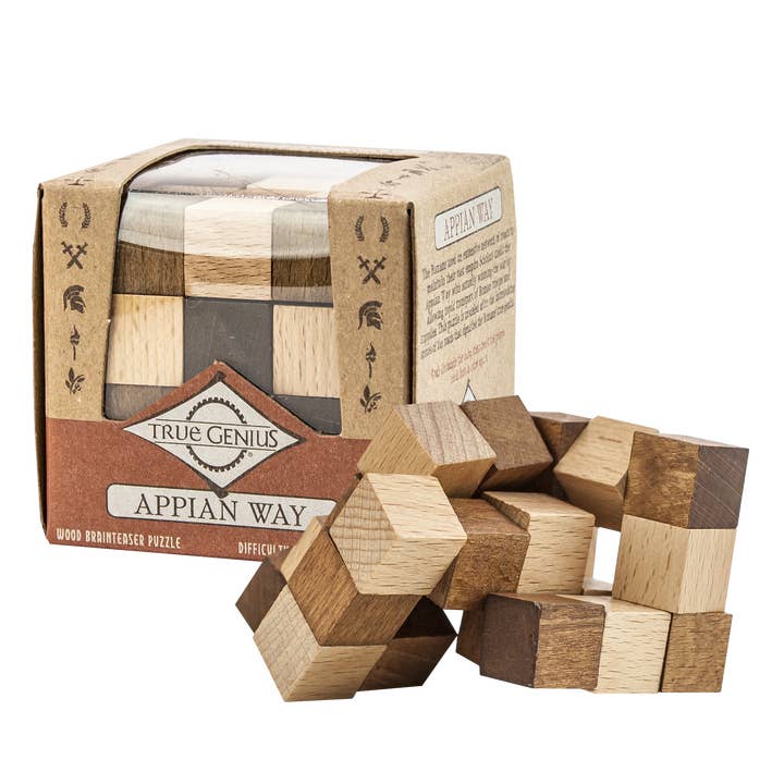 Project Genius - Wholesale Puzzle - Adult - 24-Piece True Genius Assorted Display (Individual SRP $6.00)
