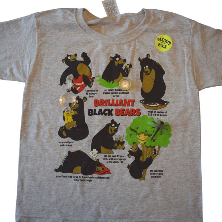 Black Bears for wholesale by Wildthings