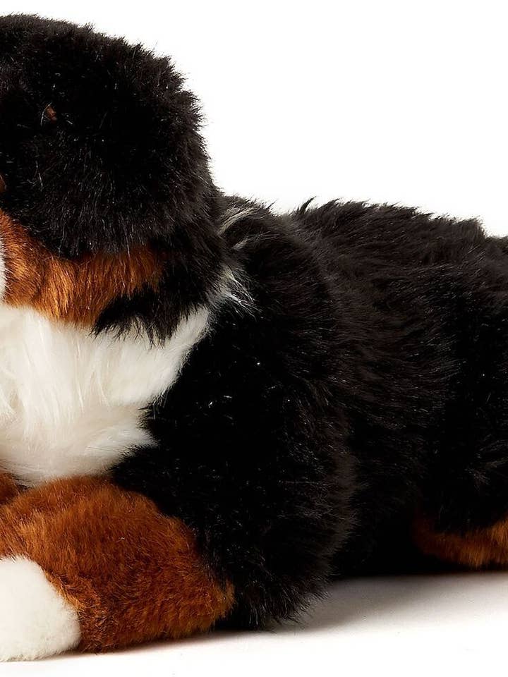 Berner Sennenhund, liegend - Kuschel-/Plüschtier für den Großhandel von Uni Toys