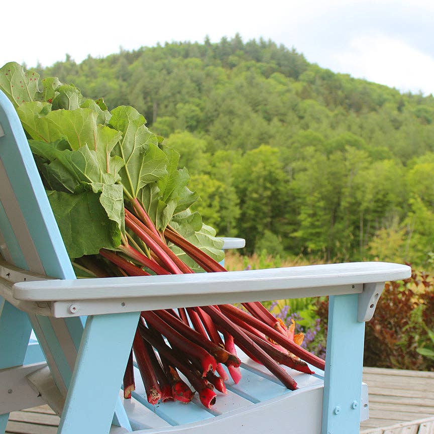 Blake Hill Preserves - Vente Conserve de fruits - Confiture Fraise Rhubarbe8