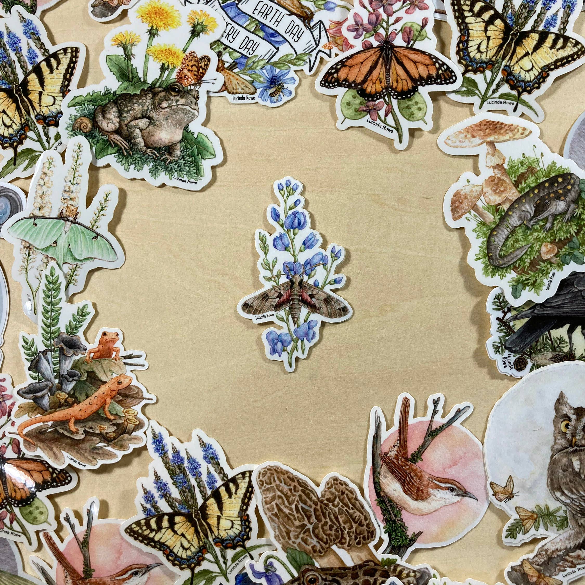 Lucinda Rowe Art - Wholesale Sticker - Sticker - Achemon Sphinx Moth On Wild Indigo2