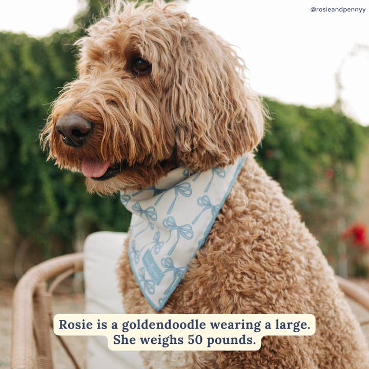 Bowwow Wow! Bandana for wholesale by Lucy & Co.