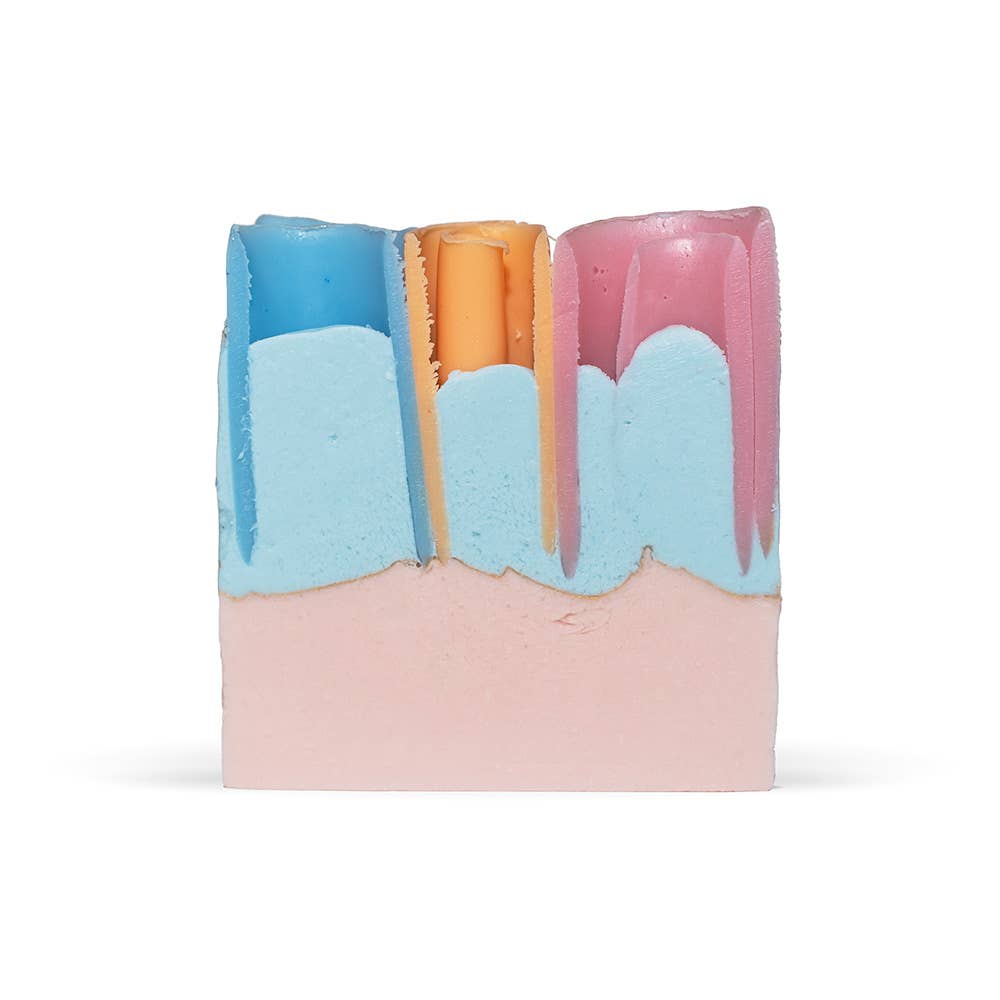 FinchBerry - Vente Pains de savon - Savonne la Journée Savon Artisanal Végétalien Sans Gluten en Boîte2