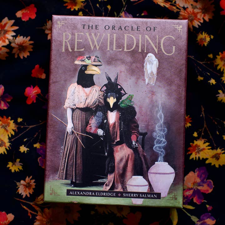 Red Wheel/Weiser LLC - Wholesale Tarot Cards - The Oracle of Rewilding: 44 Cards & 176-Page Guidebook14