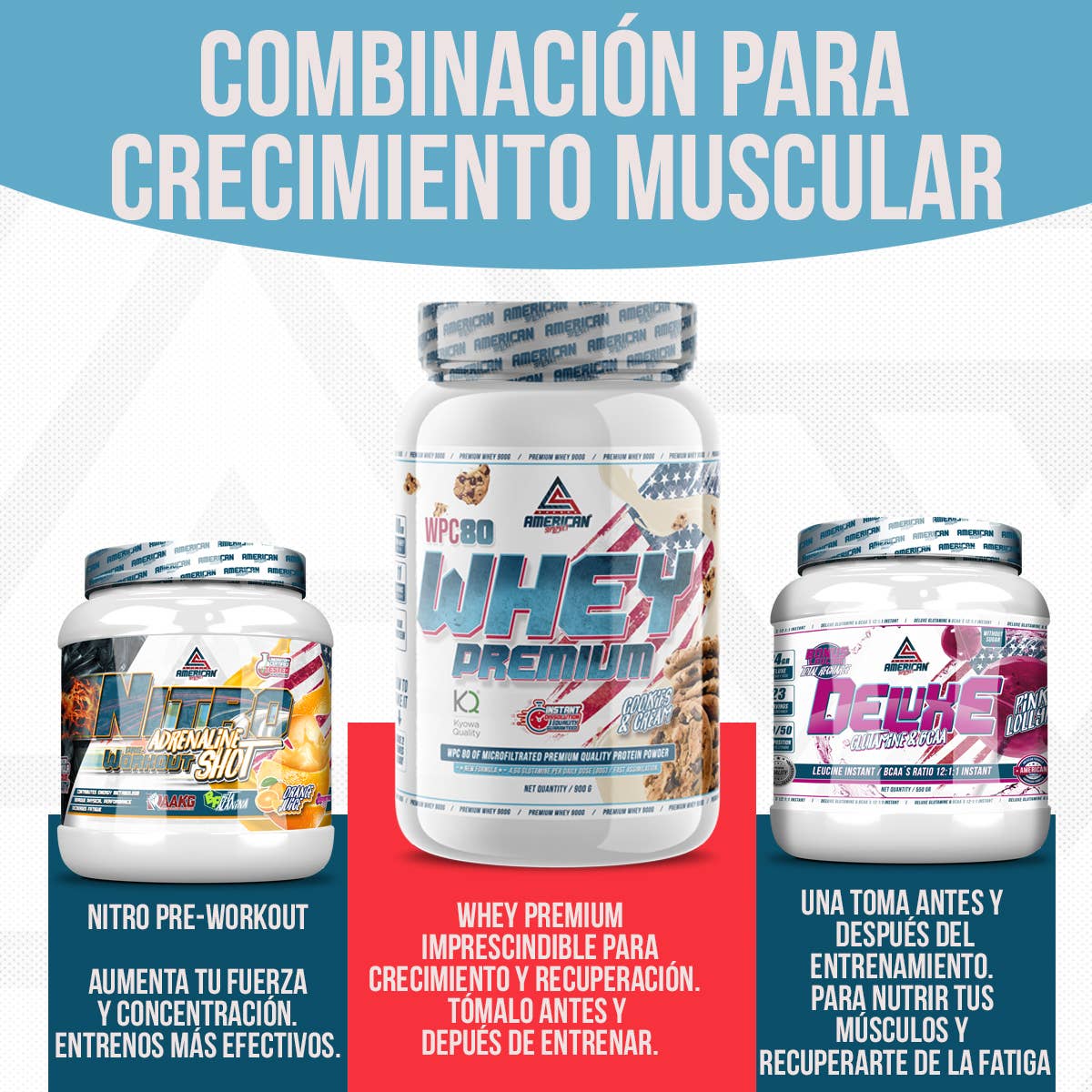 AMERICAN SUPLEMENT S.L. - Wholesale Oral Supplement/Vitamin - American Supplement | Bcaa's with Deluxe Glutamine 300 g10