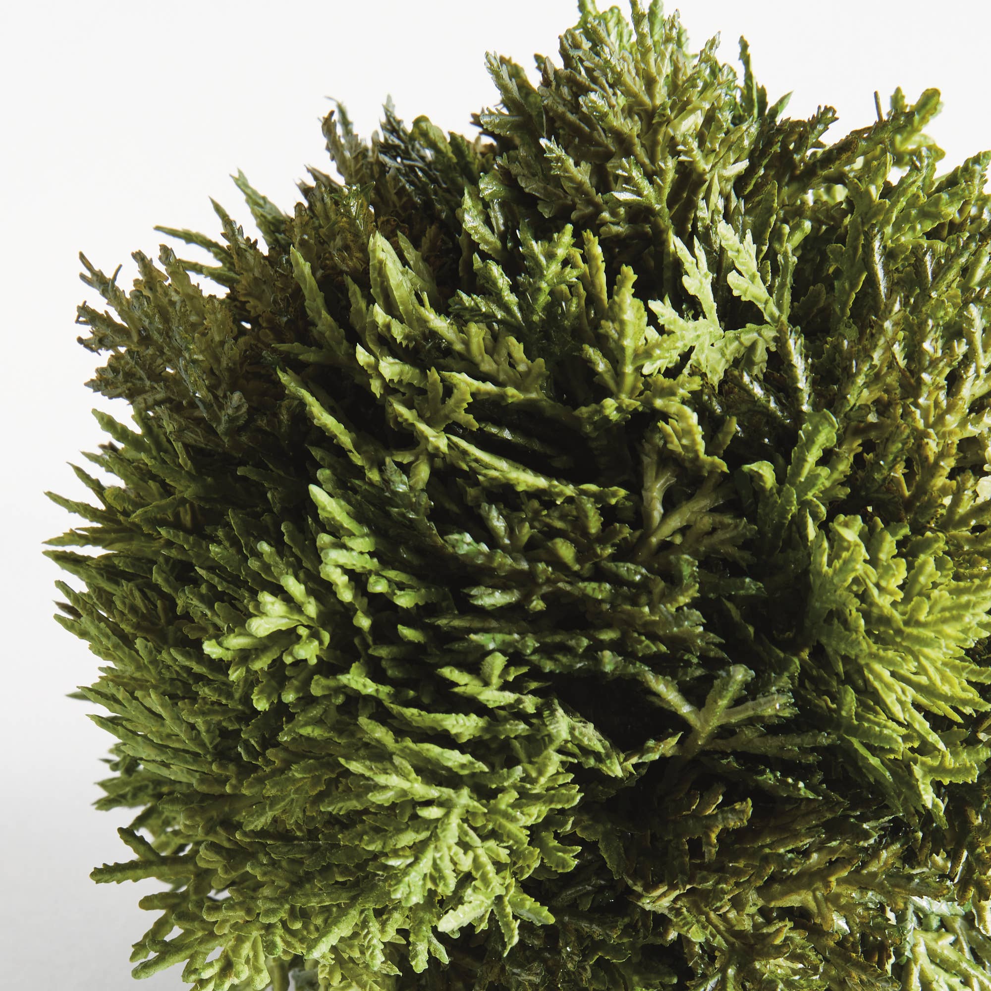 Napa Home & Garden - Wholesale Decorative Tabletop Object - Cypress Orb 5.5"2