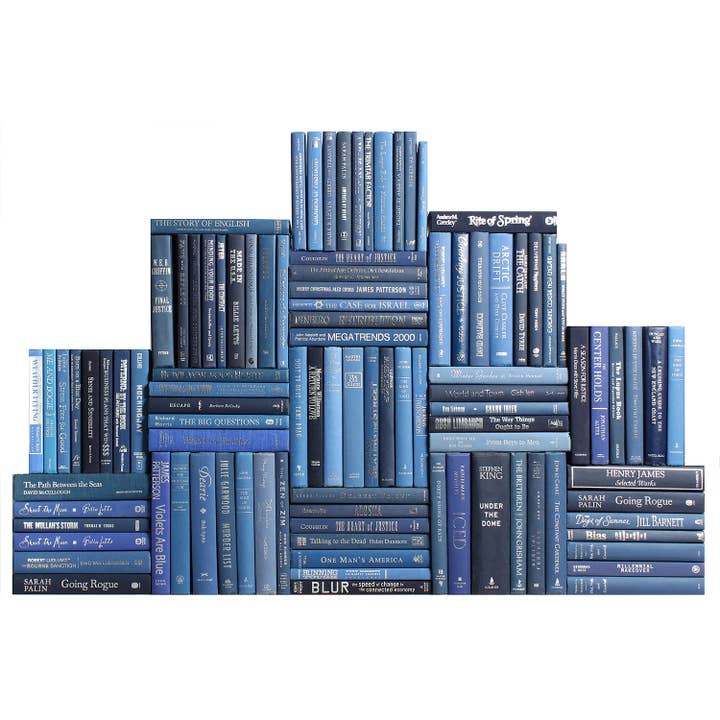 Decorative Blue Books - Denim & Silver Wall - Set of 100 for wholesale by Booth & Williams