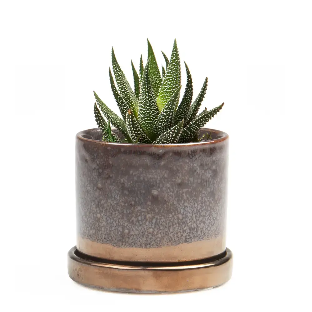 Chive - Wholesale Plant Pot - Minute Handmade Ceramic Planter Indoors Pot With Saucer31