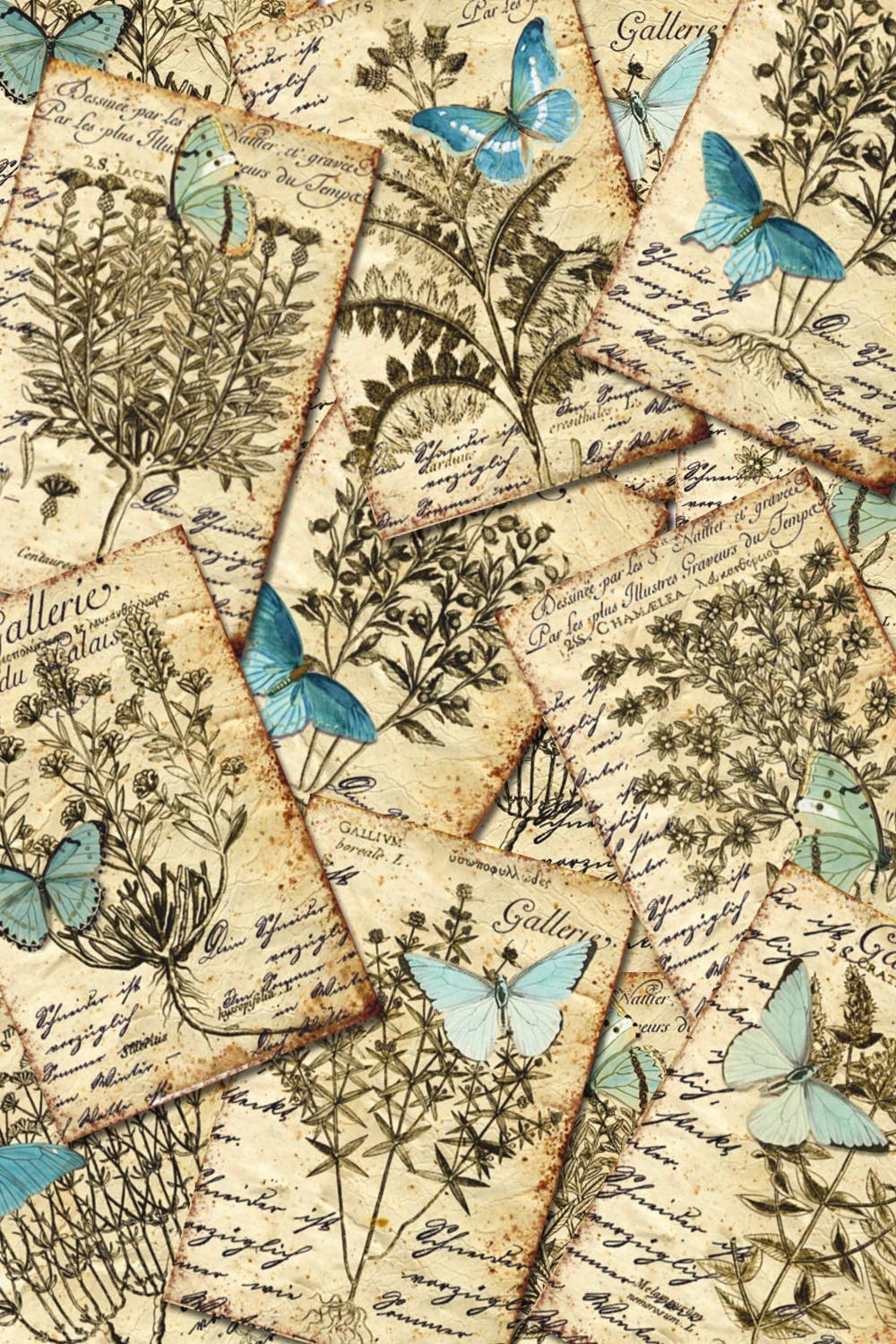 DECORER - Wholesale Gift Tag - Butterfly & Herbs - Gift Tag Set1