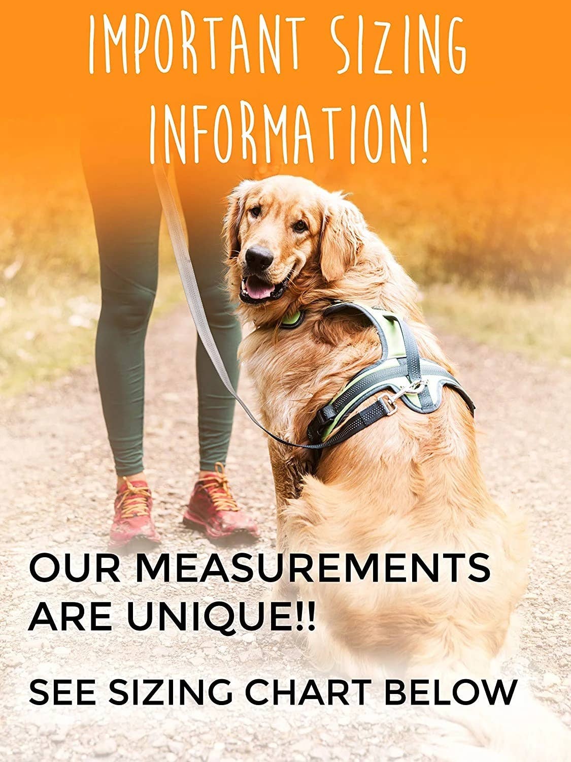 Mighty Paw – Arnês – Cão por atacado – Peitoral esportivo 2.0 Mighty Paw8