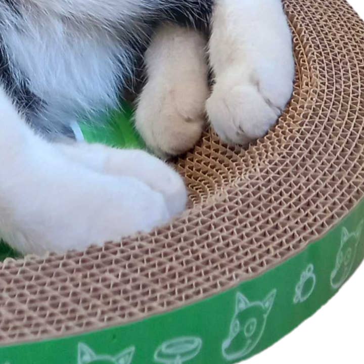 Designer Pet Products, LLC - Vendita all'ingrosso Tiragraffi - Gatti - Grazziapad per Gatti Rotondo – Confezione da 30 Pezzi Resistente1