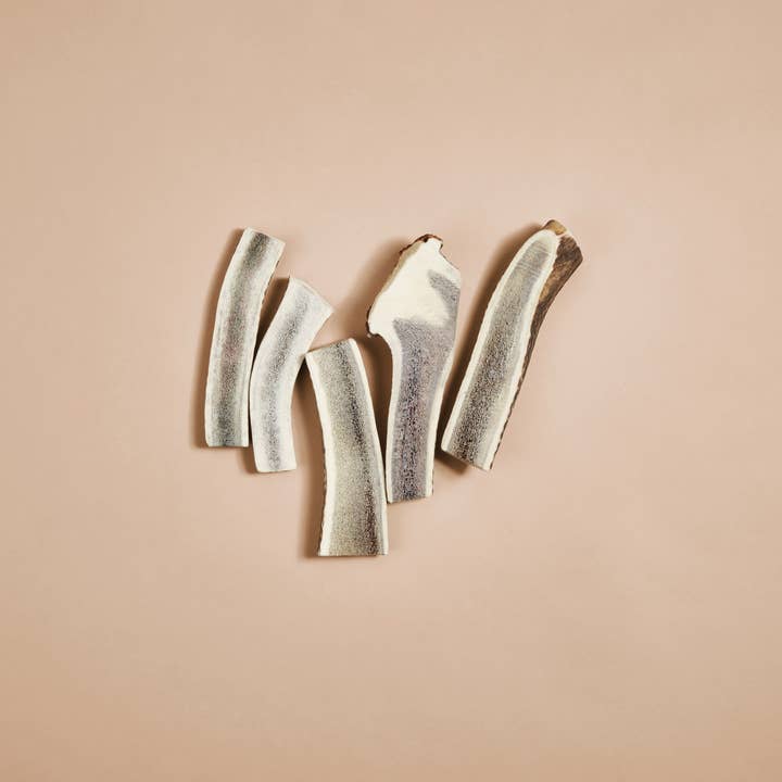 CANOPHERA GmbH - Wholesale Pet Chew Toy - Dog - Dog Chew Made Of Red Deer Antler Splits.7