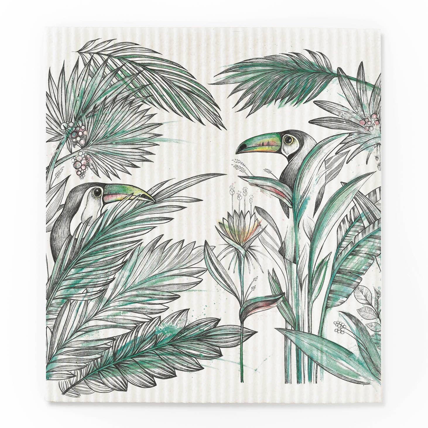 LIGARTI - Wholesale Cleaning Sponge - Sponge cloth set of 3 - jungle7