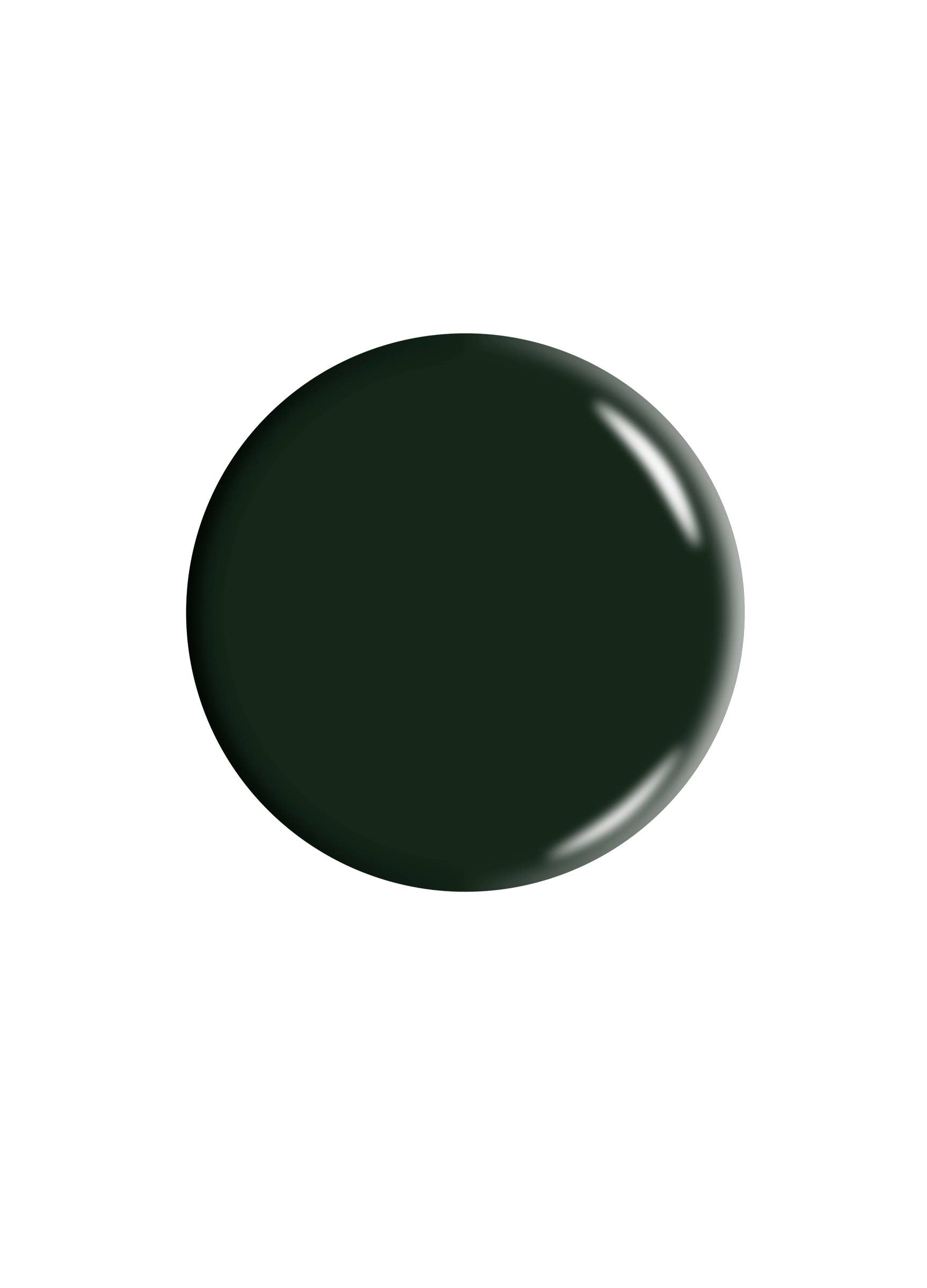 Dr.'s Remedy Enriched Nail Care - Wholesale Nail Polish - EMPOWERING Evergreen1