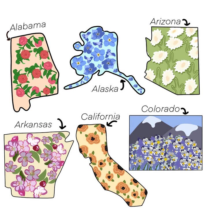 Statliga klistermärken för wholesale av The Spicy Creative