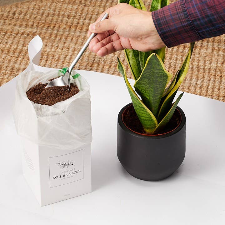 Generosa - Wholesale Fertilizer - ORGANIC FERTILIZER | Soil Booster Insect humus 1000 ml6