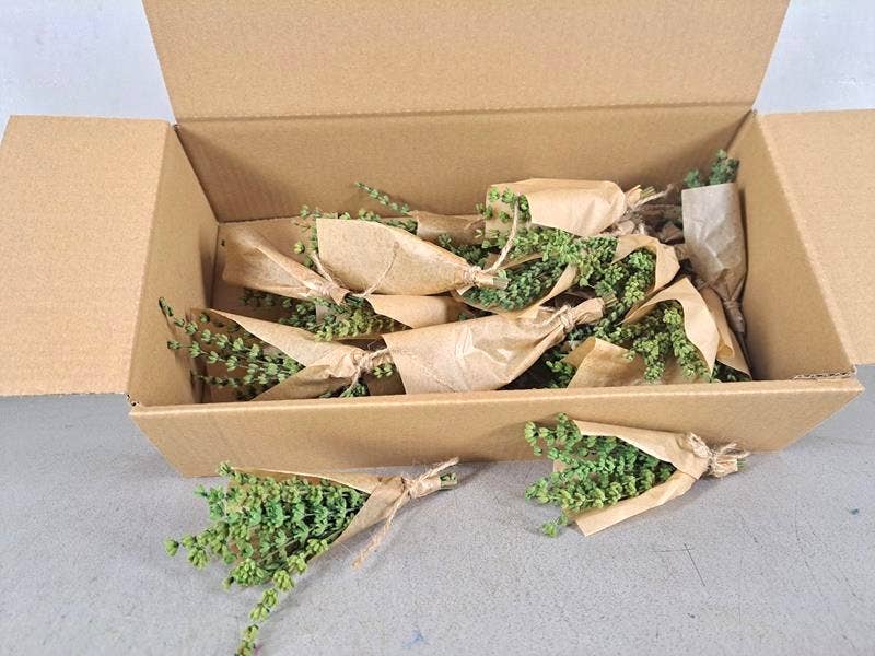 Dutch Flower Studio - Vente Fleur séchée/pressée - Lavande préservée - Mini bouquet de fleurs séchées2