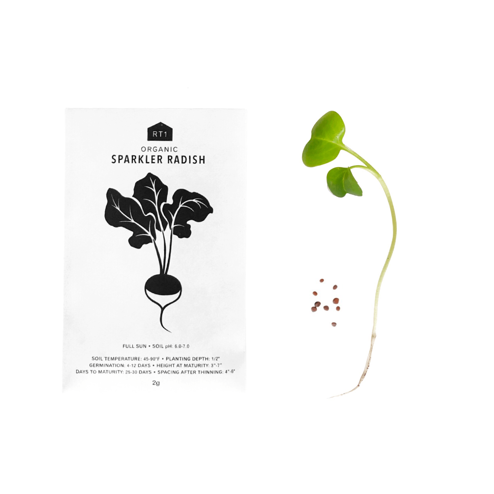 RT1home - Wholesale Plant Seeds - VEGETABLE SEEDS - PACK OF 52