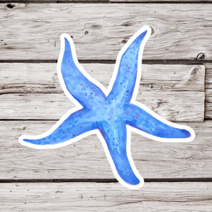 Autocollant étoile de mer, autocollant océan, autocollant de plage pour la vente par NatureCuts