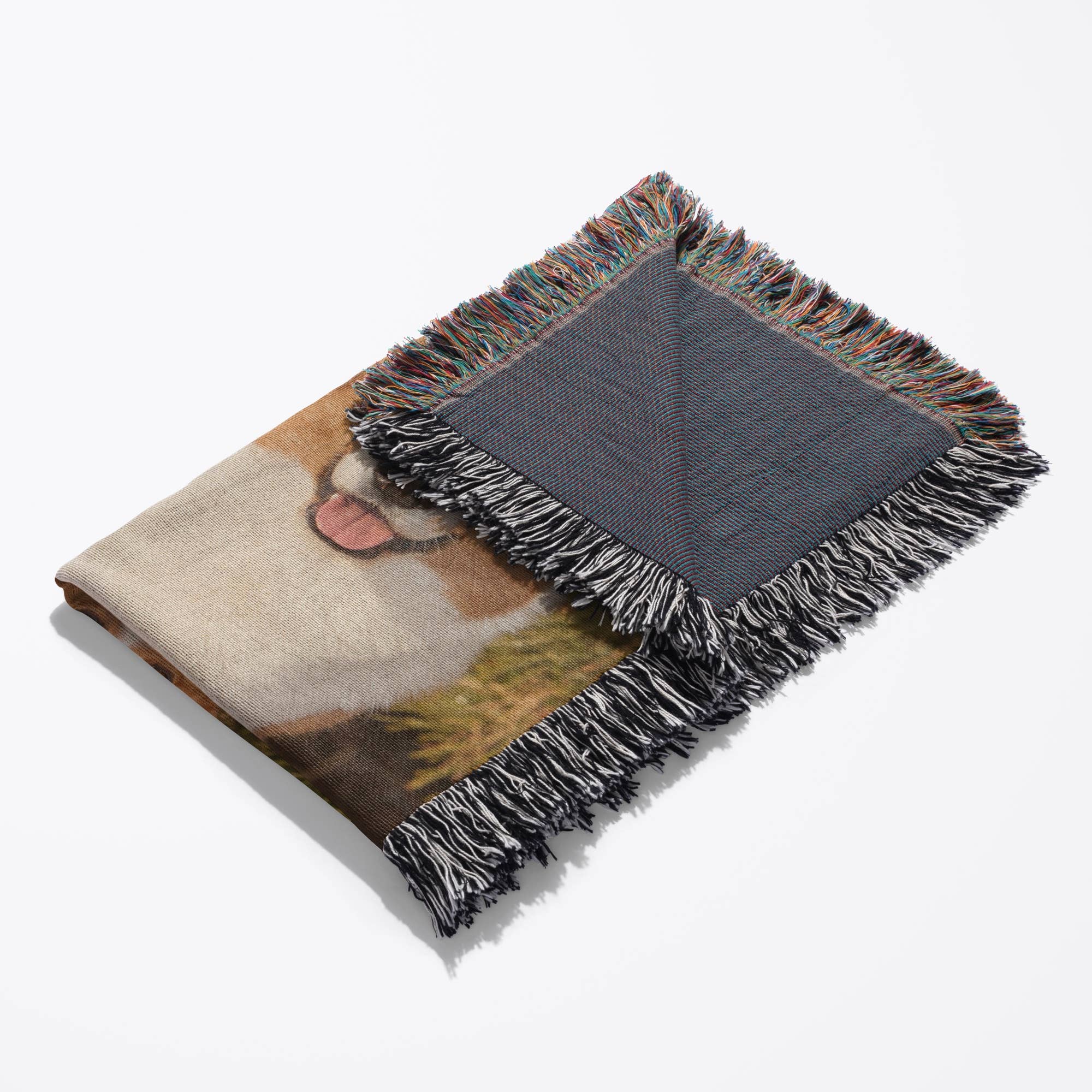 3dRose - Wholesale Throw Blanket - 3dRose, Purebred Cardigan Welsh Corgi Dog on rock - NA02 PWO0023 - PiperAnne Worcester, Blanket3