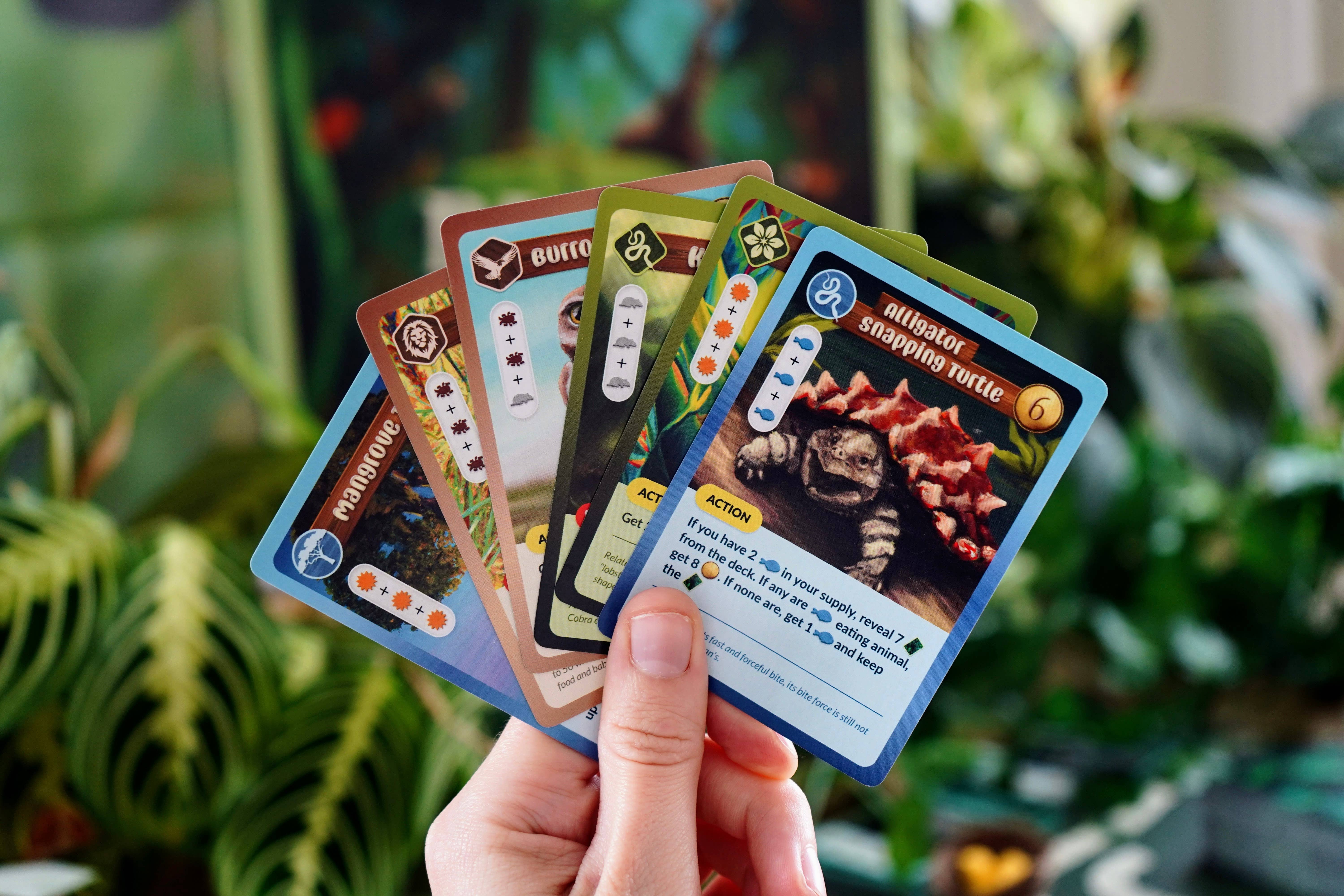 Bridge Distribution - Wholesale Board Game - Biome 2nd Edition MSRP2