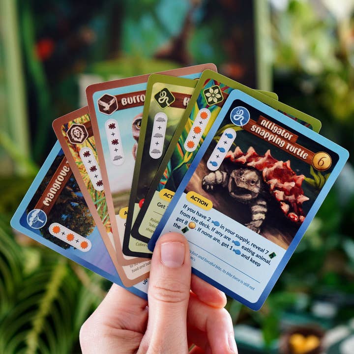 Bridge Distribution - Wholesale Board Game - Biome 2nd Edition MSRP2