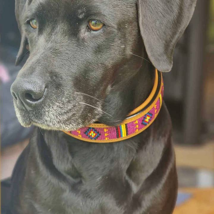 kay-line - Wholesale Pet Collar - Dog - Leather Collar AFRICAN SUN3