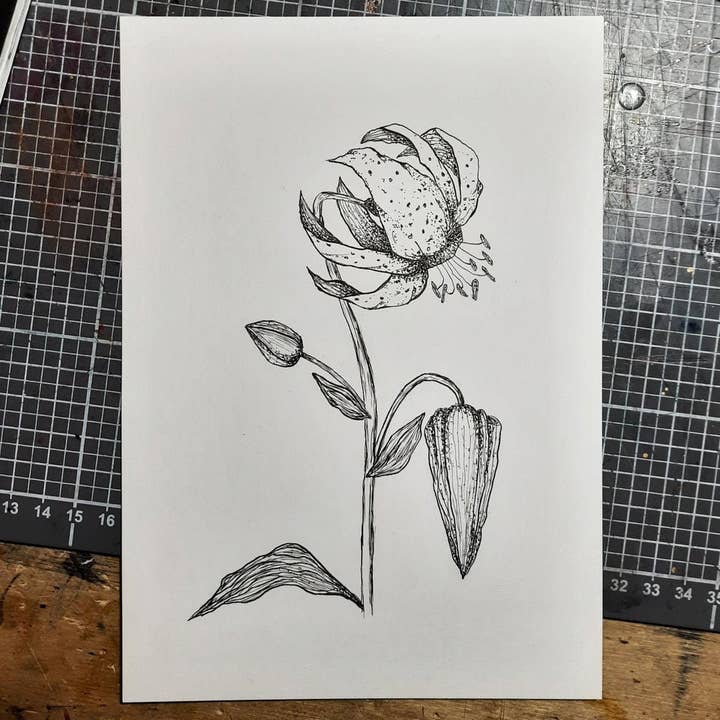 Inkursive Pens – Engroshandel Pen – Comicpen-næb, Mapping Pen (Maru), pakke med 10 semi-fleksible bløde nibs3