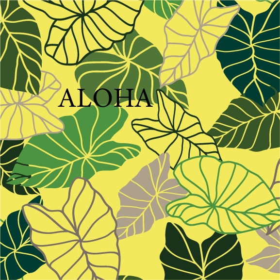 Adventure Hawaii – Engroshandel Lommelærke – Kalo | 16 oz vakuumisoleret flaske9