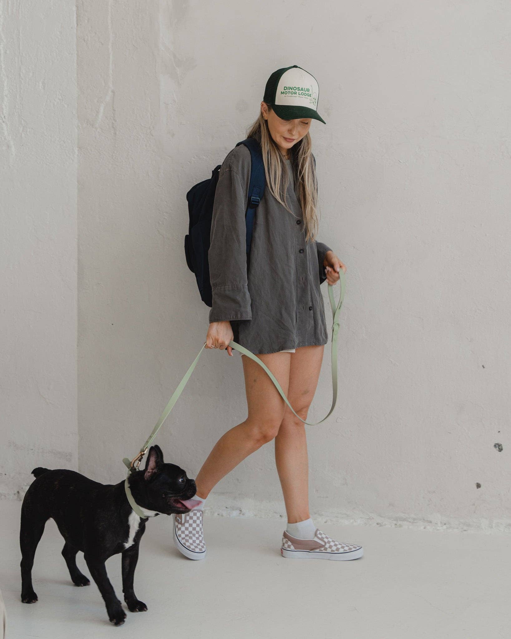 dexypaws – trela - Cão por atacado – Guia impermeável para cães em verde sálvia3