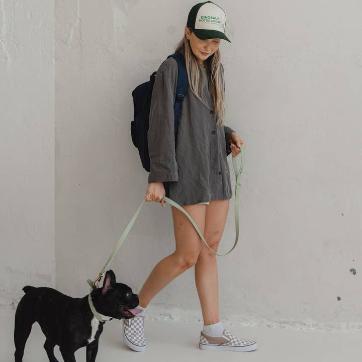 dexypaws - Wholesale Pet leash – Dog - Waterproof Dog Leash in Sage Green3