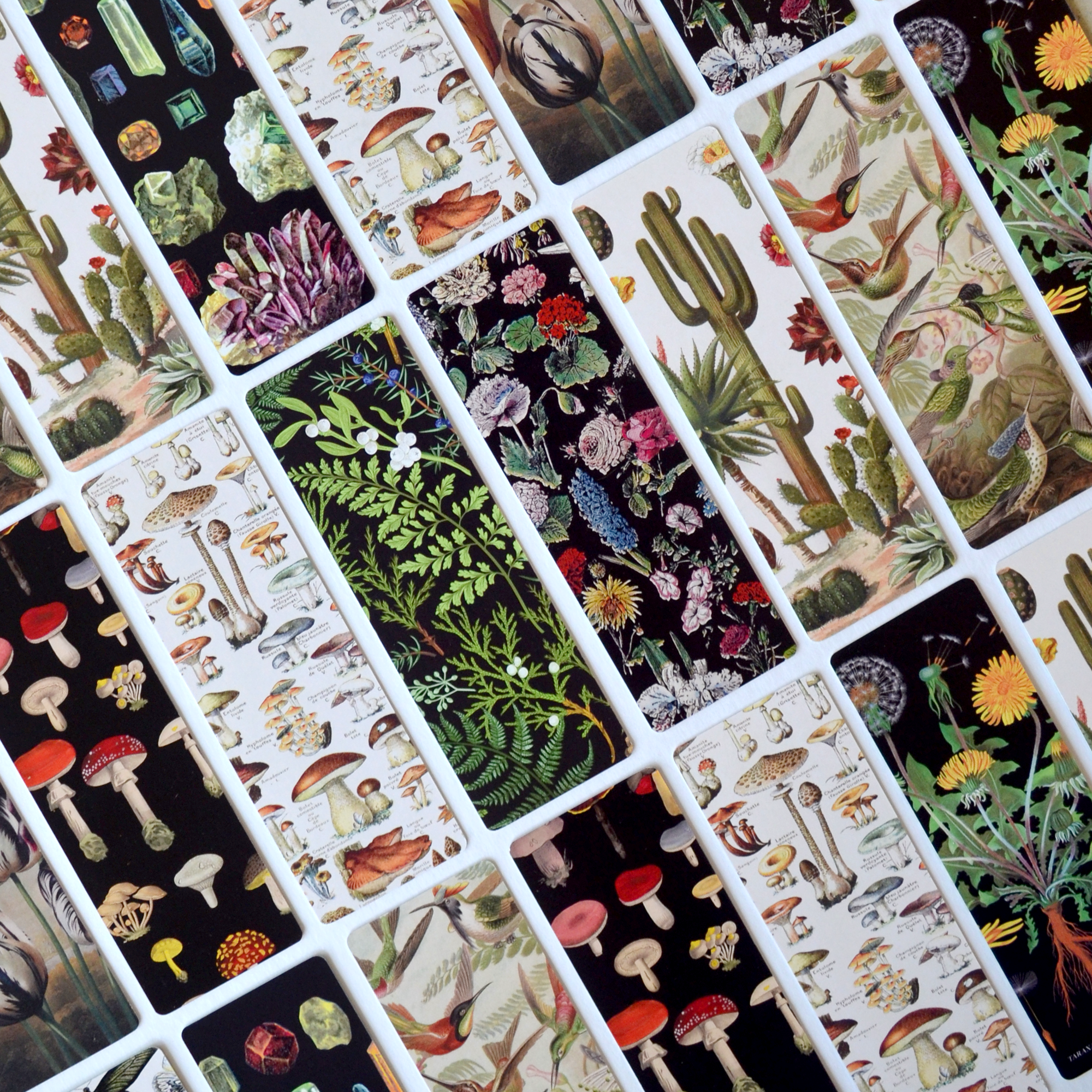 Curious Prints - Wholesale Bookmark - Dandelion Double-Sided Bookmark with Vintage Marbling4