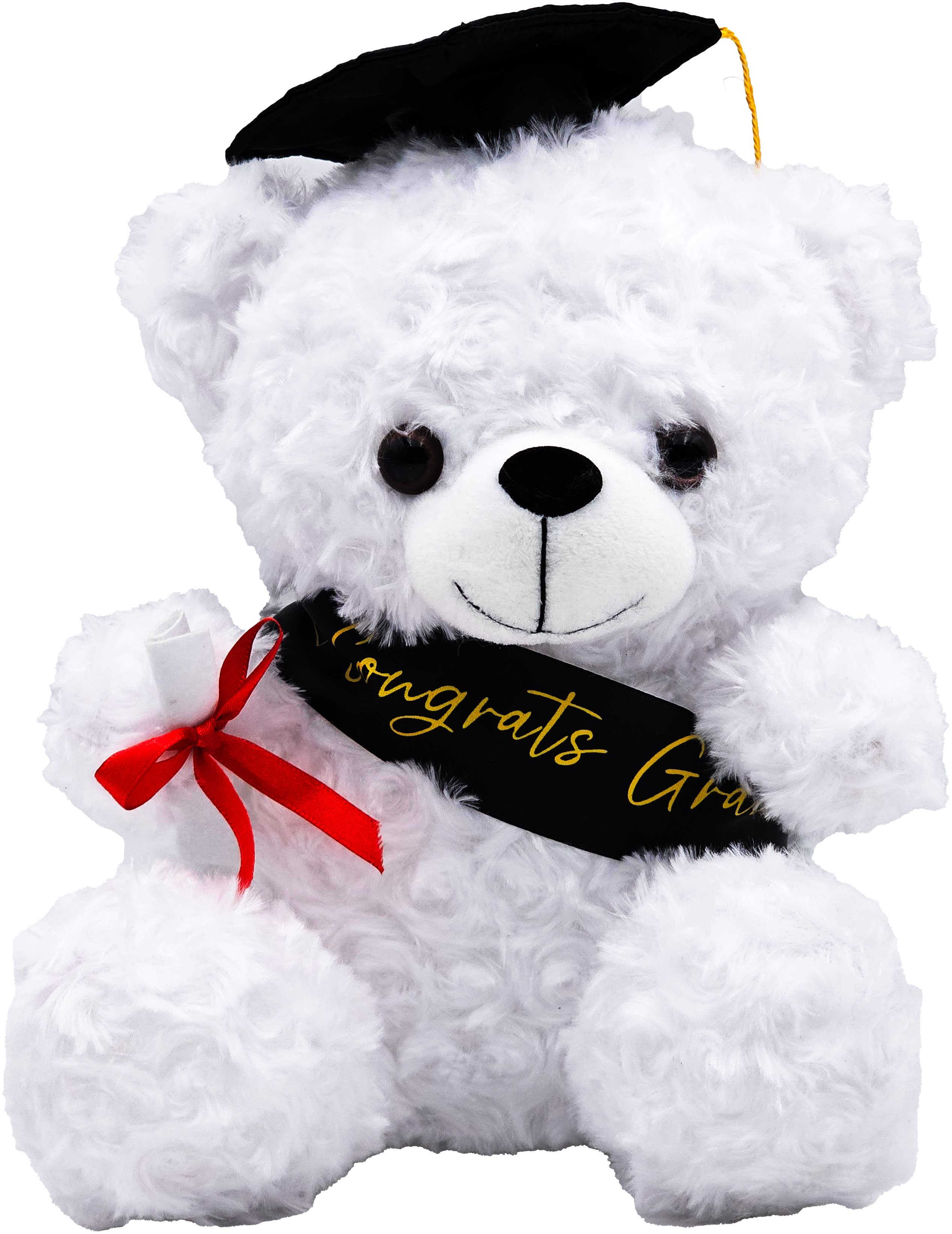 Fantasia Inc. - Wholesale Stuffed/plush toy – Kids & baby - 10" Plush Graduation Bear with sash