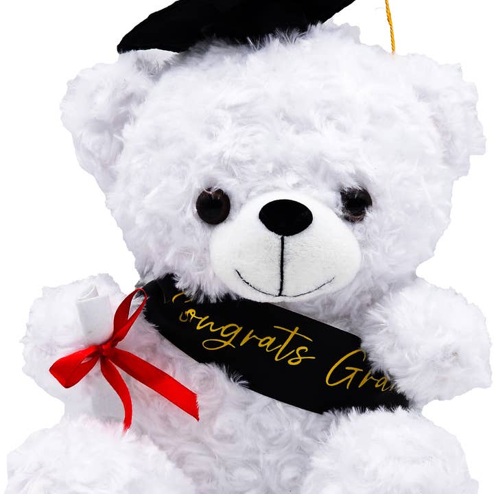 Fantasia Inc. - Wholesale Stuffed/plush toy – Kids & baby - 10" Plush Graduation Bear with sash0
