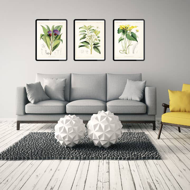 Smithsonian Floral 1 - Tirages d'art pour la vente par Wallflower Market