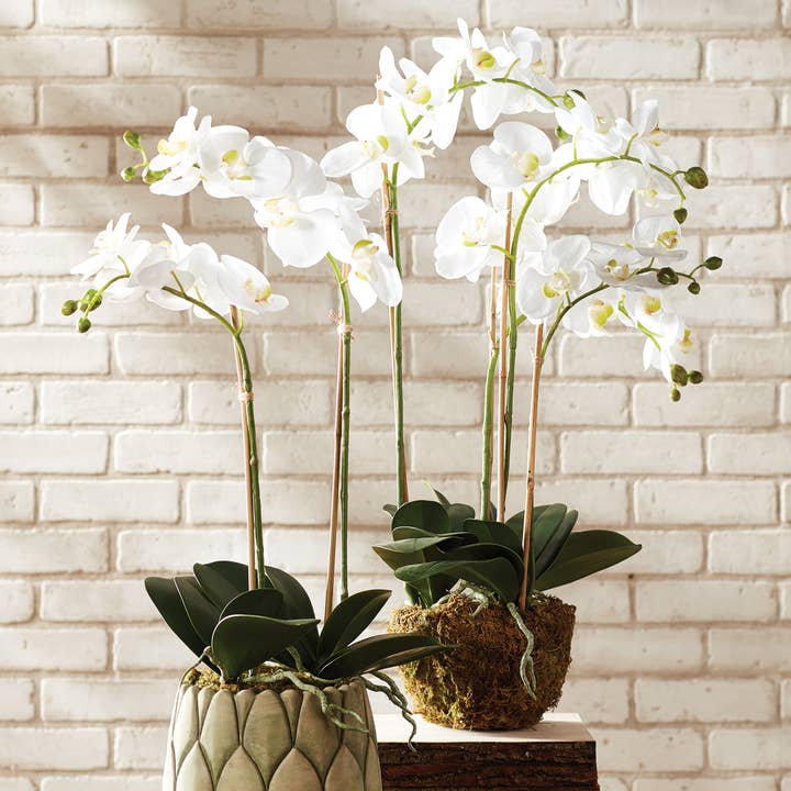 Napa Home & Garden - Wholesale Artificial Flowers - Phalaenopsis Orchid Drop-In 30"-White3