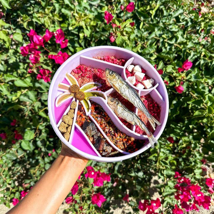 Happy Dingos - Wholesale Pet Bowl - Cat/Dog - Loco Coco Interactive Slow Feeder Bowl 7