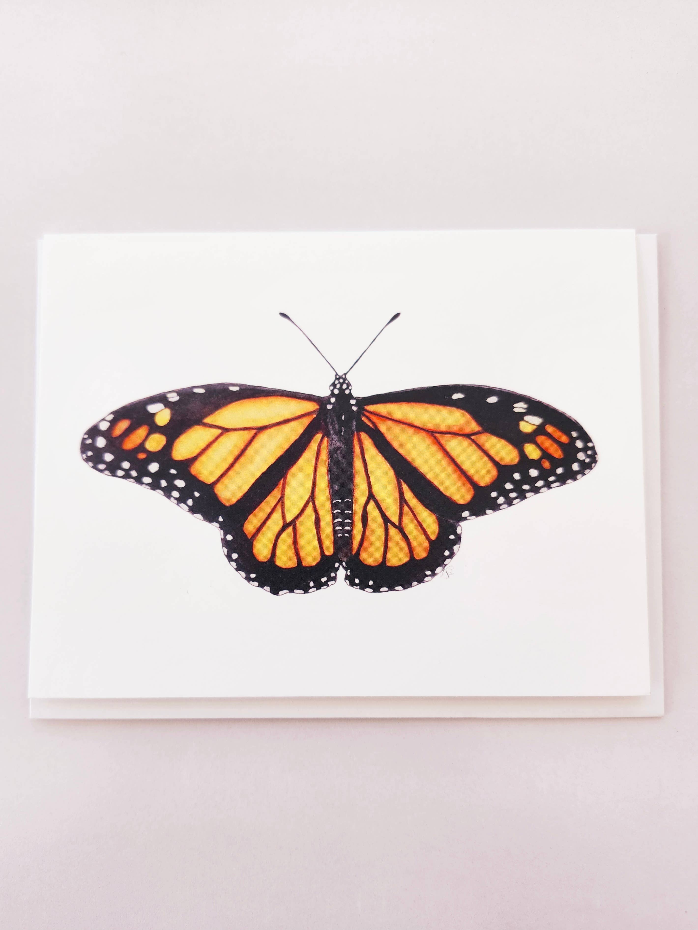 Redbriar Studio - Wholesale Stationery/Notecard Set - Notecards34