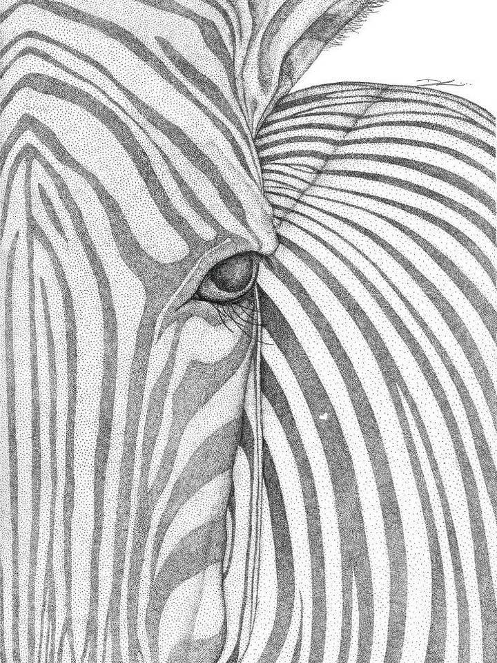 Zane the Zebra voor wholesale door Dots by Donna