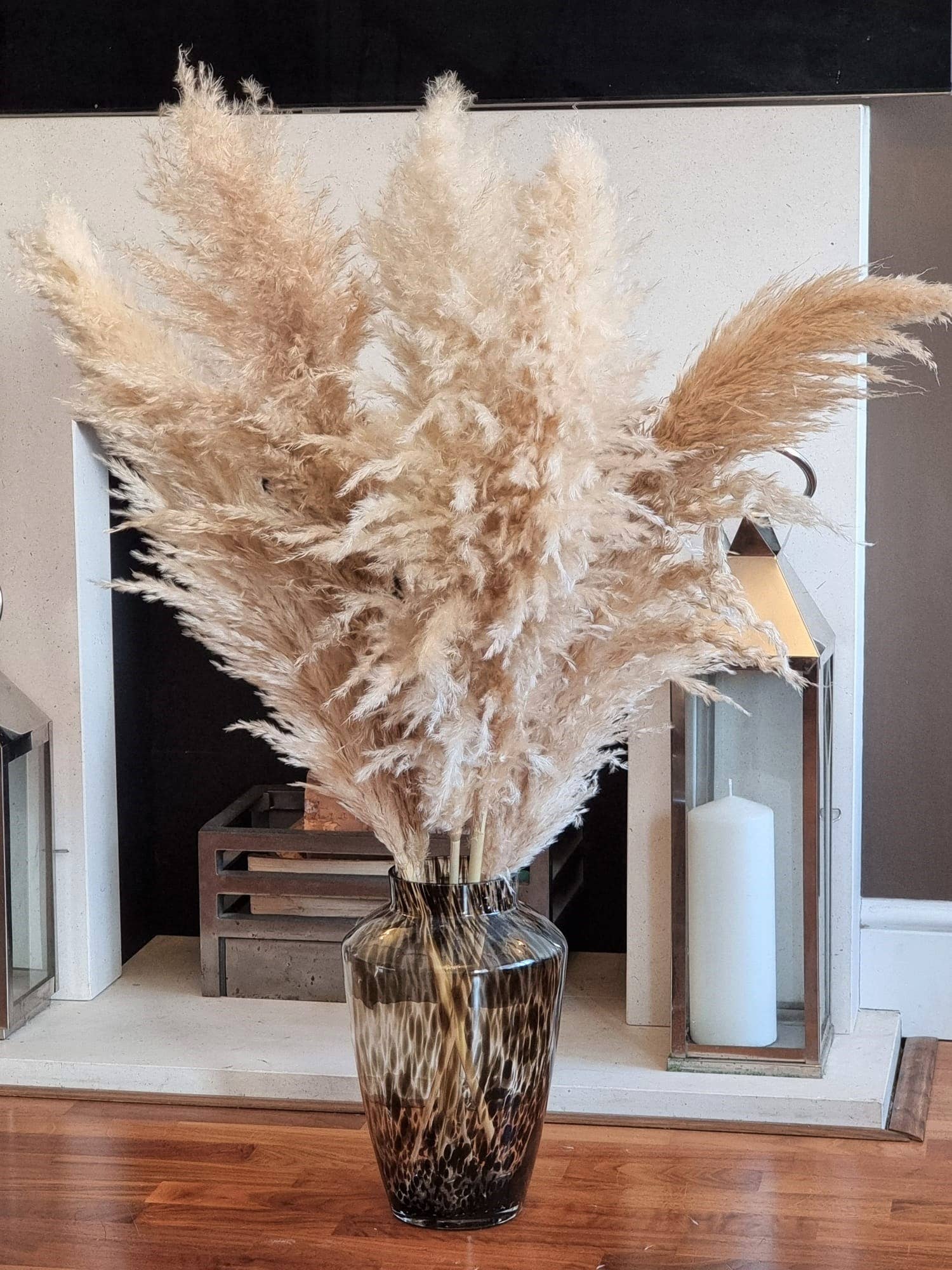 LoveProducts Ltd – Flores secas/prensadas por atacado – Buquê alto grande de capim-dos-pampas seco bege natural e fofo3