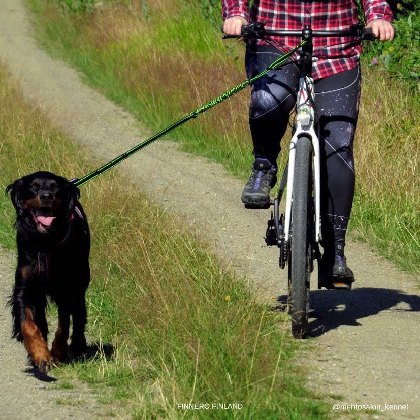 FINNERO - Vente Laisse – chien - Laisse élastique FINNERO POWER pour chien, 2 couleurs4