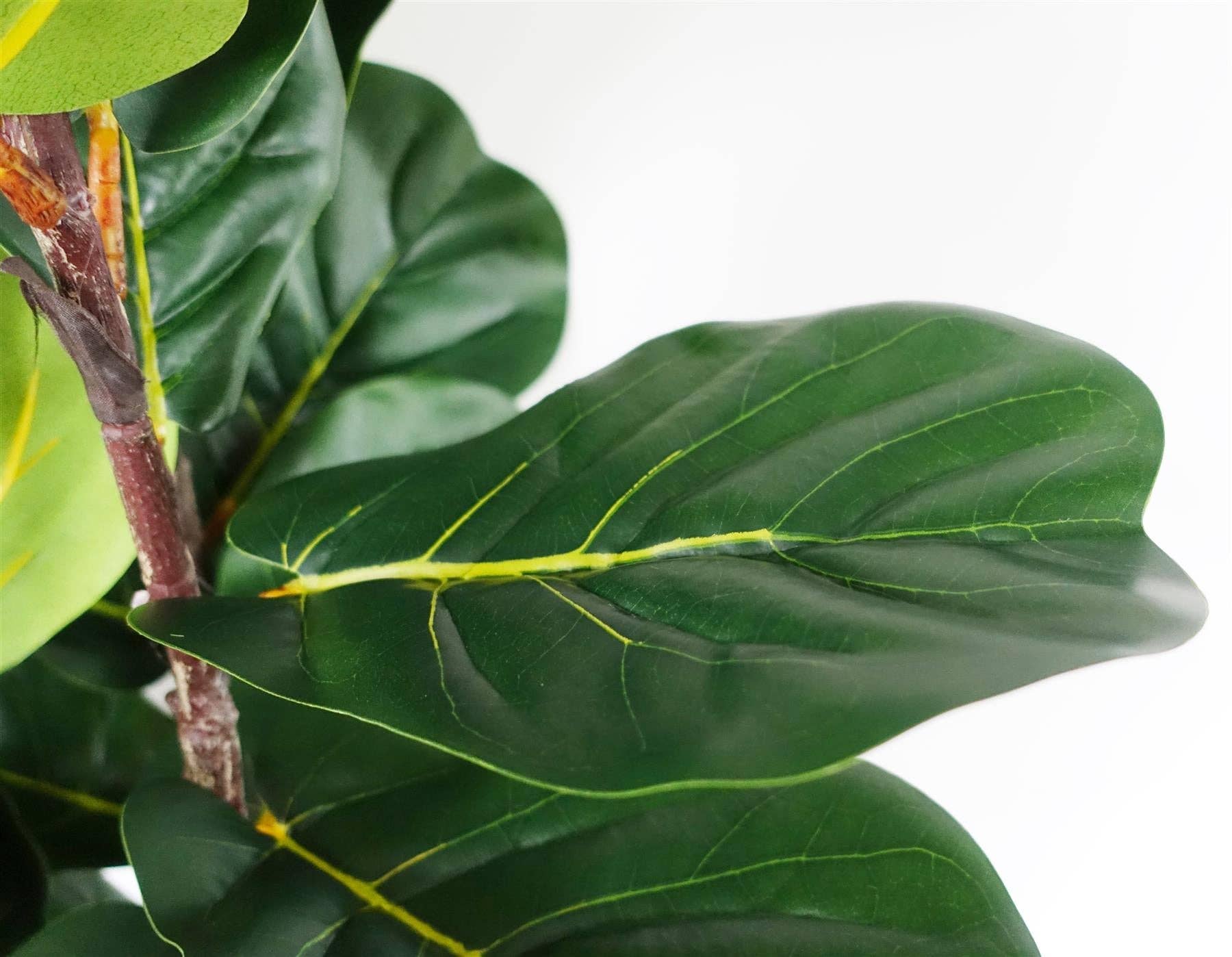 Leaf Design UK LTD – wholesale Artificial plant – 180cm Premium Artificial Fiddle Leaf Fig Tree3