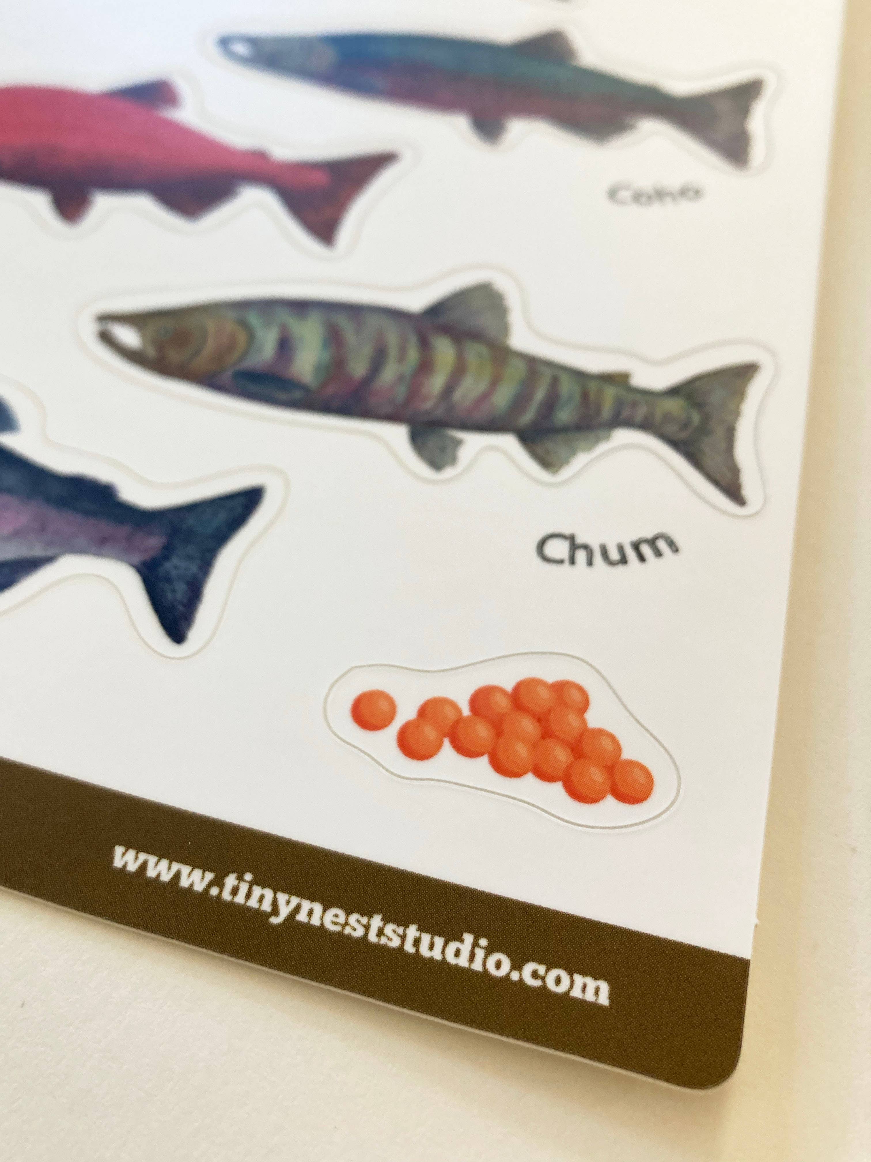 Tiny Nest Studio - Wholesale Sticker - Salmon of Alaska Sticker Sheet3