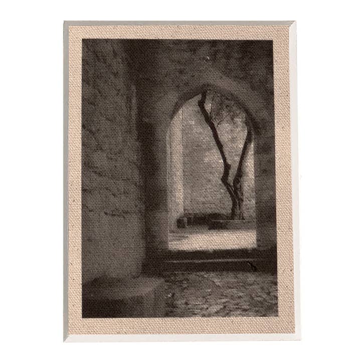 Portugal #1 for wholesale by Stewart Vision