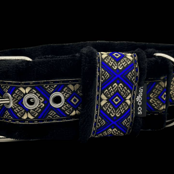 POLAR HUNDEHALSBAND | LEON BLUE | SCHWARZ für den Großhandel von So-Doggy