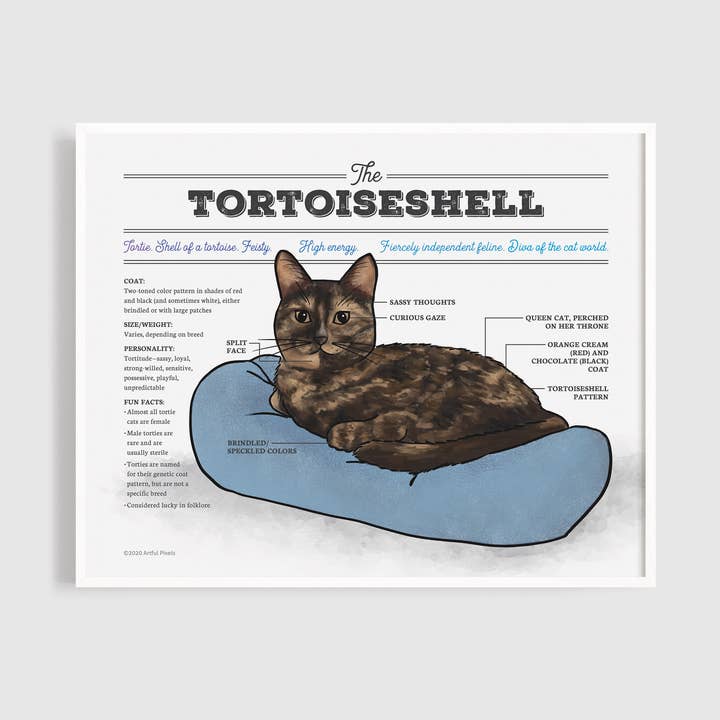 Tortoiseshell Cat Diagram Art Print for wholesale by Artful Pixels