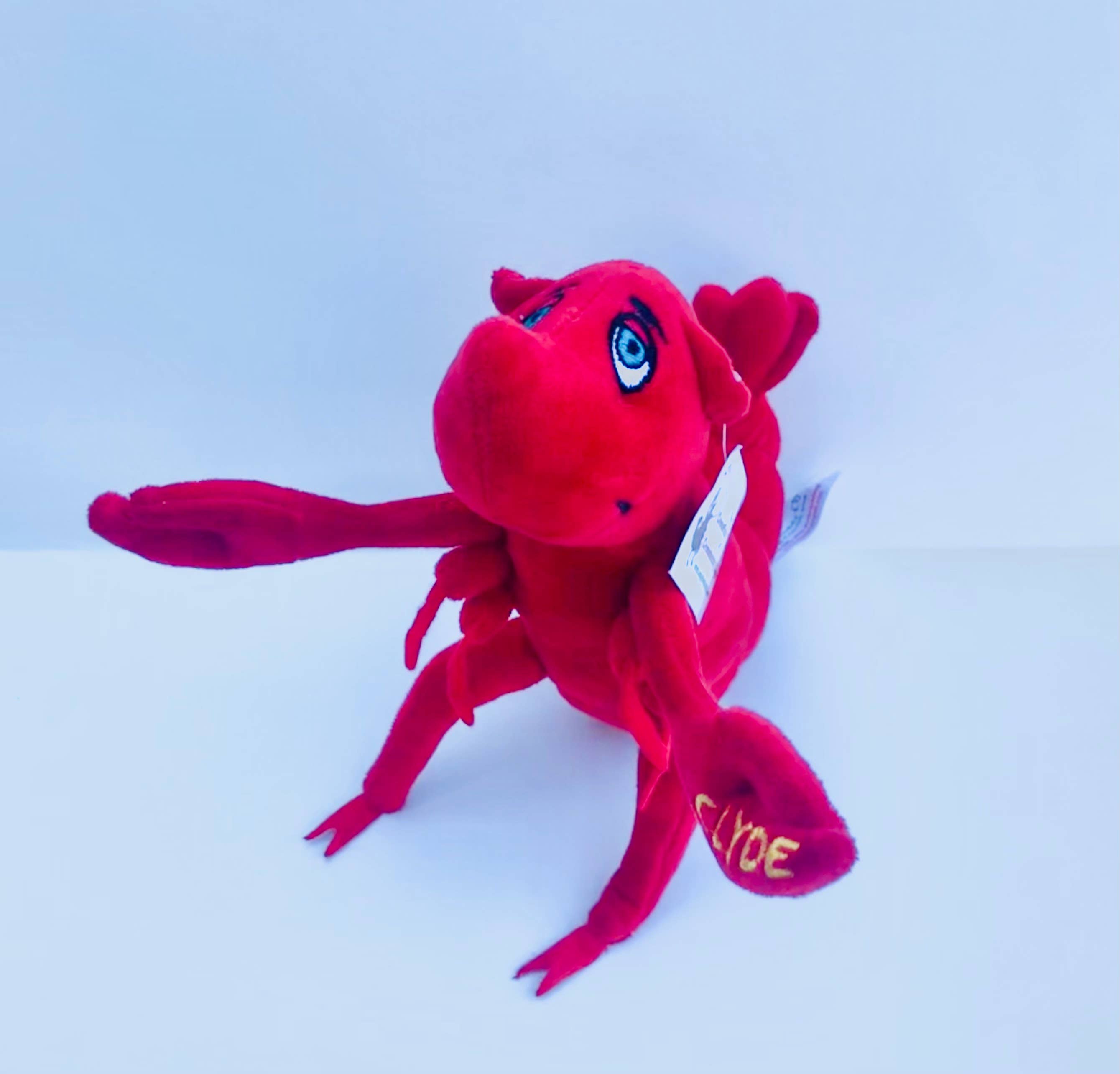 Apple Pie Publishing - Wholesale Stuffed/Plush Toy - Kids & Baby - Crawdaddy Clyde Plush1