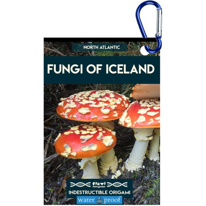 Champignons d'Islande-Origami indestructible pour la vente par Flexi Field Guides