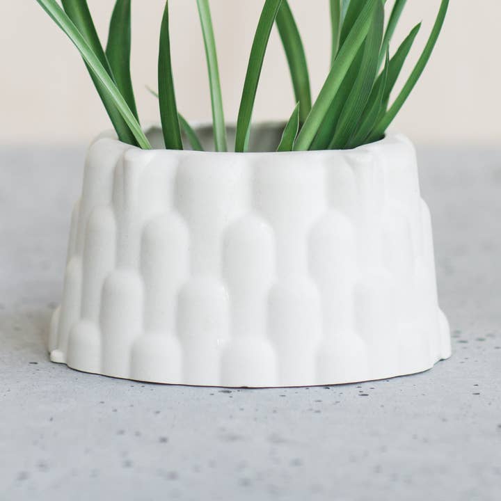 Bubble Planter for wholesale by mod crmx